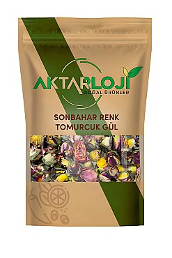 Sonbahar Renkli Tomurcuk Gül Kurusu - 2