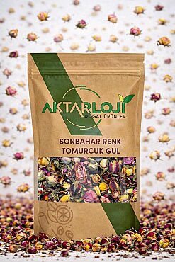 Sonbahar Renkli Tomurcuk Gül Kurusu - 5