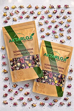 Sonbahar Renkli Tomurcuk Gül Kurusu - 6