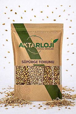 Süpürge Tohumu - 5
