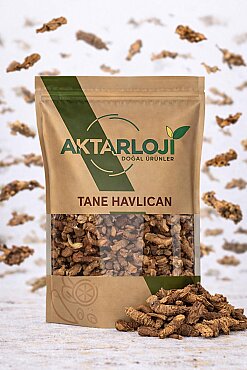 Tane Havlıcan - 3