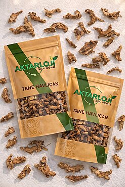 Tane Havlıcan - 5