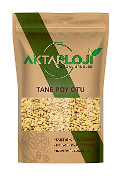 Tane Poy Otu - 6