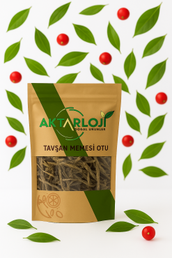 Tavşan Memesi Otu - 2