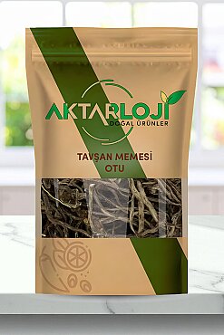 Tavşan Memesi Otu - 1