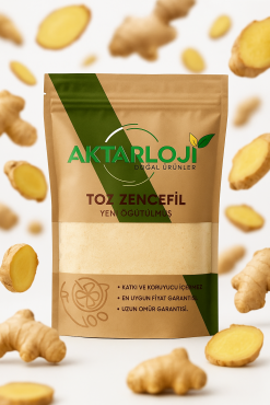 Toz Zencefil - 3