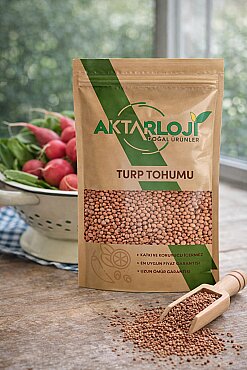 Turp Tohumu - 4