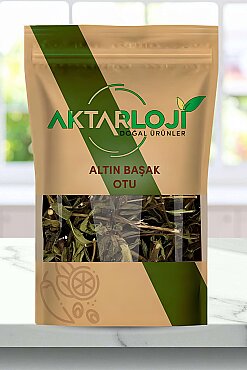 Yapışkan Andız Otu ( Altınbaşak) - 1