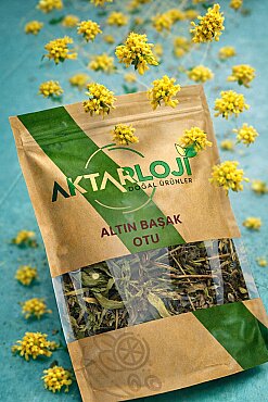 Yapışkan Andız Otu ( Altınbaşak) - 3