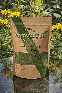 Yapışkan Andız Otu Tozu / Yeni Öğütülmüş - 4