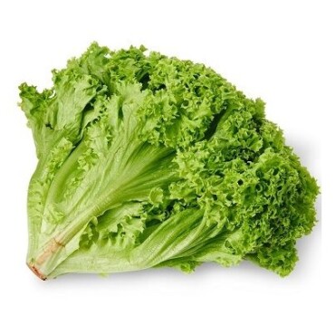 Yazlık Kıvırcık Marul Tohumu - Aktarloji