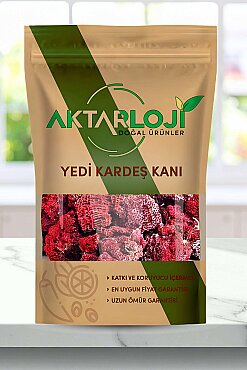 Yedi Kardeş Kanı - 1