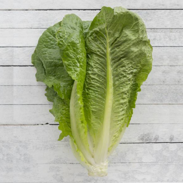 Yedikule Marul Tohumu - Aktarloji