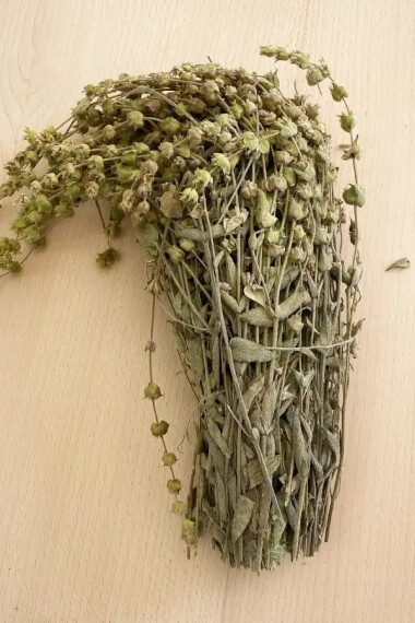 Yeşil Adaçayı Bağ - Aktarloji