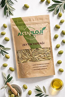 Zeytin Yaprağı - 2