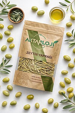 Zeytin Yaprağı - 3
