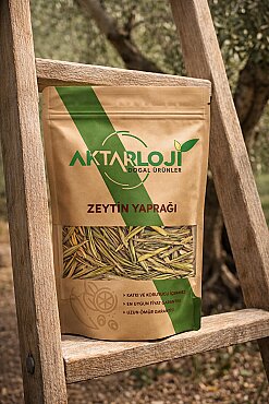 Zeytin Yaprağı - 5