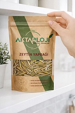 Zeytin Yaprağı - 6